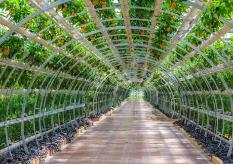 定西市临洮县洮河百里绿色蔬菜瓜果长廊