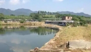 肇庆四会市百亩生态农场